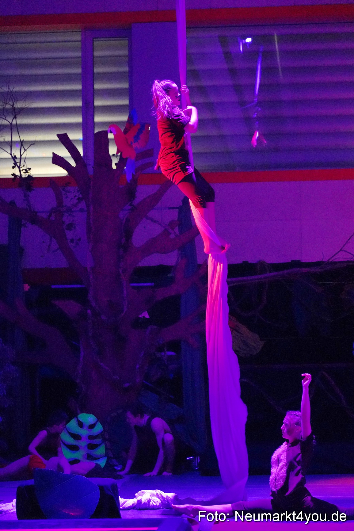 Artico Artistical Dschungelbuch 2020 0065